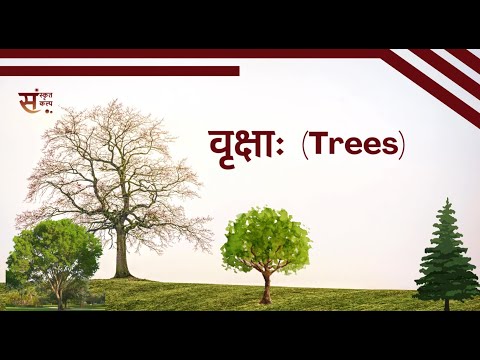 Trees Name in Sanskrit