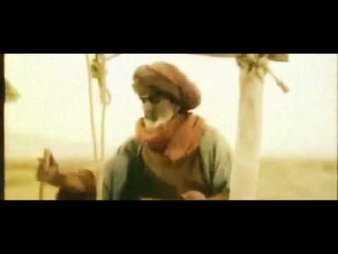 Welche Haltung sollte ein Muslim gegenüber Hunden