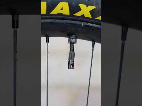 Refresh Your Valves 🧼✨