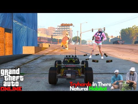 Tryhards In There Natural Habitat Funny Moments GTA Online