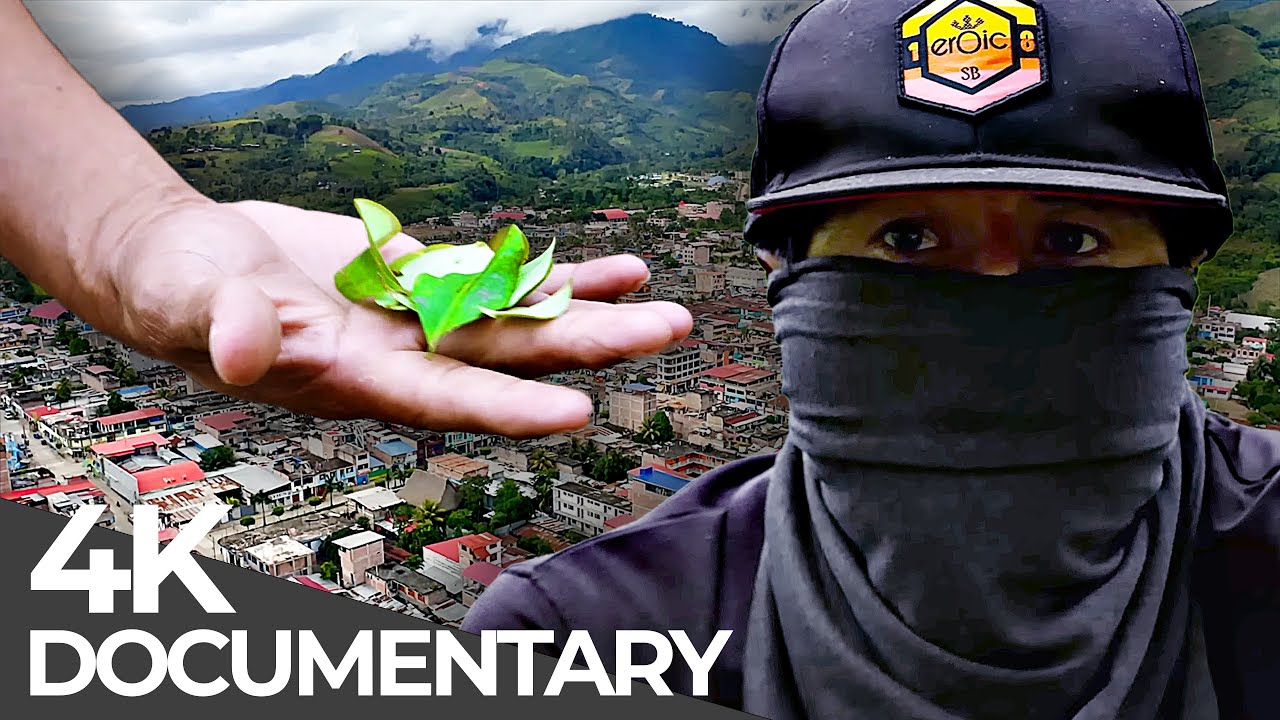 Crisis in Cocaine Valley