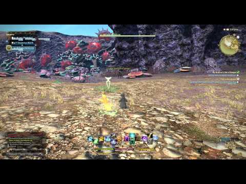 Final Fantasy XIV: A Realm Reborn - Level 43 Mob Vs. Level 18 Arcanist - Beaters Gaming