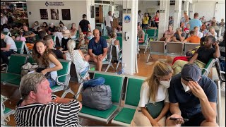 Black people are afraid of Africa while white people love it