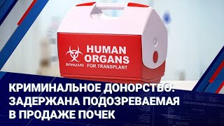Криминальное донорство: задержана подозреваемая в продаже почек
