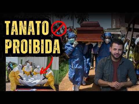 Relacionados
