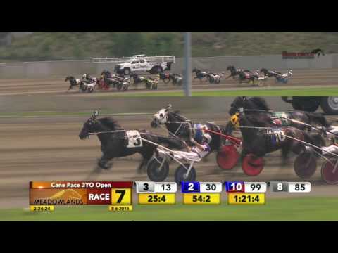 Cane Pace - August 06, 2016 Race 07