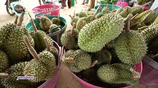 អ្នកជំនាញកសិកម្ម ថា ការធ្វើកសិកម្មមានកុងត្រាទិញ លក់មុនប្រមូលផល