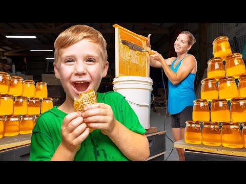 We Got our Largest Honey Harvest Ever!