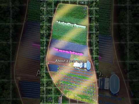 From Zero to Farm Hero! I Spent 327 Days Building My Hawaii Farm