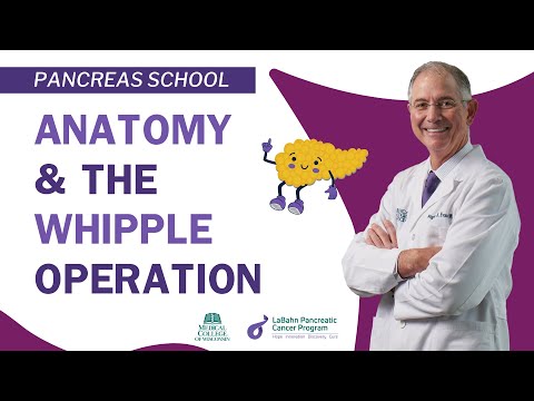 Pancreatic Anatomy and the Whipple Operation