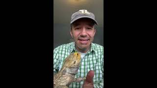 Lessons from a Lizard--A Young Life Talk