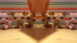 &quot;Bellas Finals: Price Tag / Don’t You (Forget About Me) / Give Me Everything / Just the Way You Are