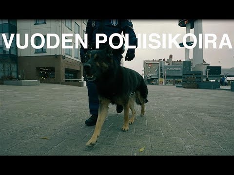 Routa on Vuoden Poliisikoira 2017