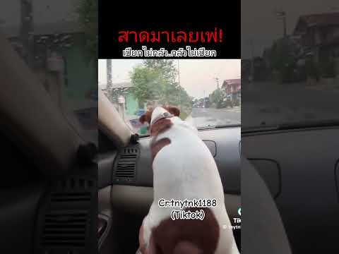 เอ็นดูไม่ไหว #อยากเล่นน้ำ