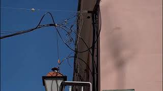 MOCIÓN TALAMANCA CsAH MAYO 2021