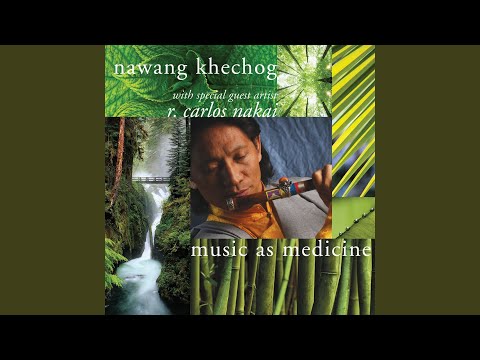 Healing through Kindness