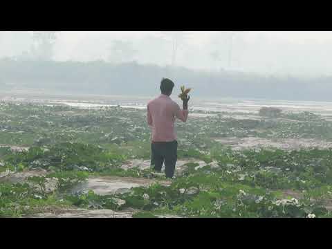 SAHAYATRA for River Bed Vegetable Farming