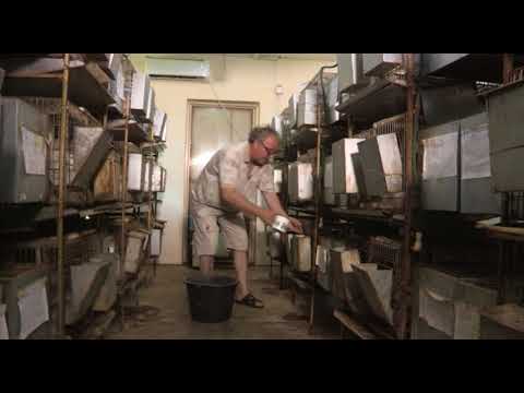 Može bolje ep. 64 25.06.2018. NAJAVA