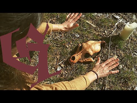 Galstarr - Stammhalter (Album Opener prod. von Dextah) [Offizielles Video]