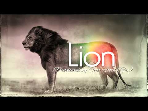 One Lion - Lion
