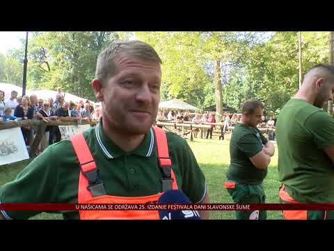 Našice u znaku 25. festivala Dani slavonske šume