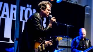 Dave Specter Band with Lurrie Bell