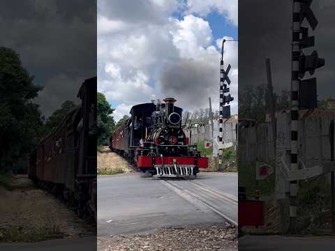 Trem cruzando PN em São João Del Rei MG. #railway #turismomg #minasgerais #train #saojoaodelrei