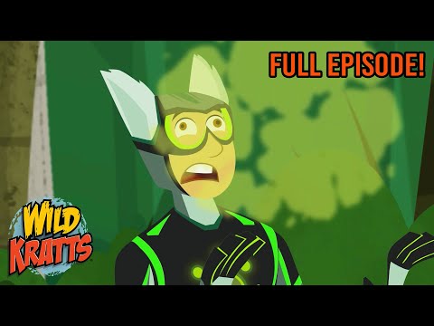 Lemur Stink Fight | Season 3 | Full Episode | Animals for Kids | Wild Kratts