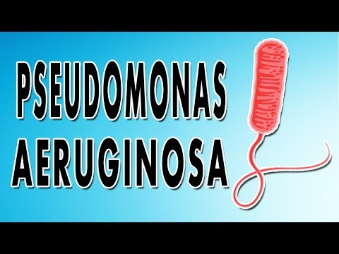 Vologda laser paggamot ng pasalingsing kuko Paggamot ng pasalingsing kuko sa Pskov