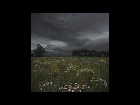 TV Girl - cigarettes out the window ♪