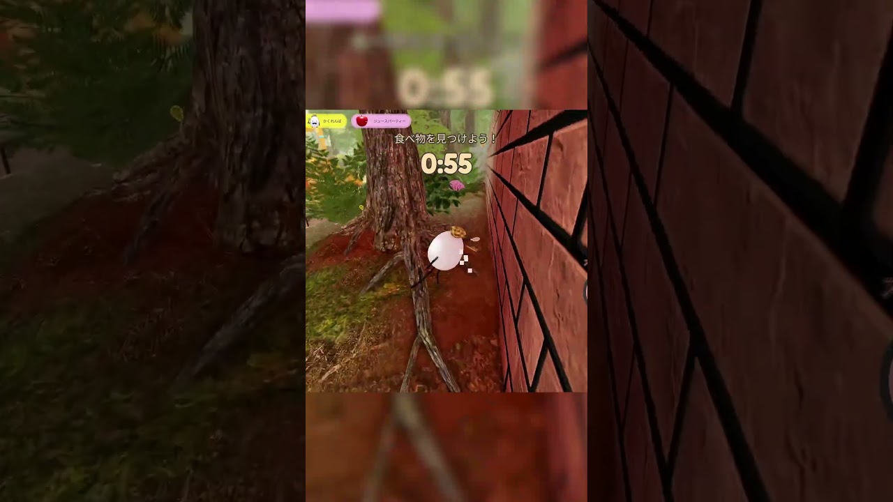 🍎funny fruit🥕８