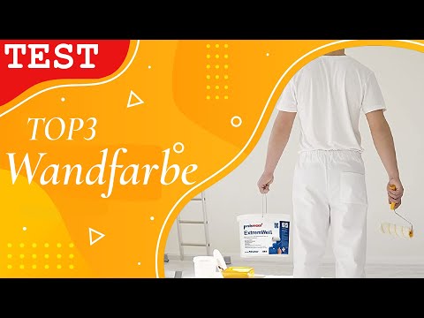 » Wandfarbe Test ∥ Die besten 3 Wandfarben 2024
