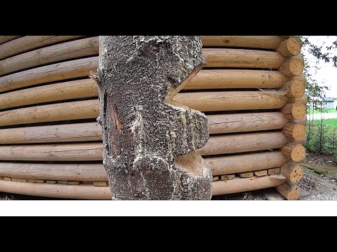 Metsolan Metsäkoulu 297 - Kaikki erilaiset kaatokolot selitettynä