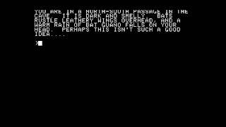 Amazon for the Apple II [Part 02\02]