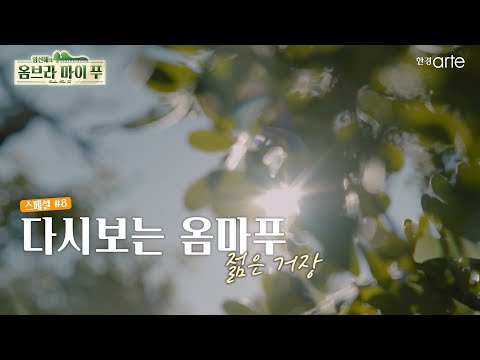 8회