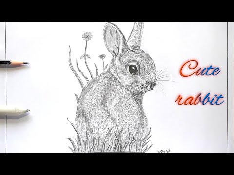 How to draw a beautiful rabbit?/How to draw a...