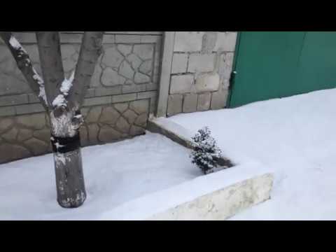 Дождались снега и мороза.