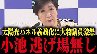 小池知事の太陽光パネル強制に大物議員たちが大激怒！小池大焦り【小池百合子/都議会/さとうさおり/カイロ大学/学歴詐称疑惑】