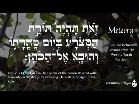 Metzora - Free Biblical Hebrew Lessons, Learn Trope