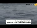 بالفيديو.. ظاهرة مرعبة في البحر تنذر باقتراب وقوع زلزال مدمر. ????