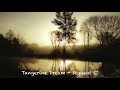 TANGERINE DREAM - Sequent C'