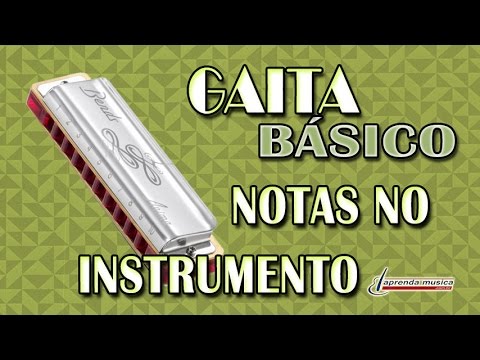 Aprenda Música - Aprenda Gaita - Básico - Notas no Instrumento