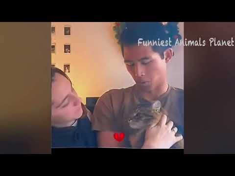 New Funny Dogs And Cats 2023 😅 Funniest Animals Videos 2023🐶😺 #1