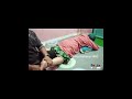 PIJAT IBU BERKERUDUNG HIJAU MBAH MARYONO