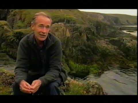 Legends of The Isles - Brendan The Navigator (Documentary)