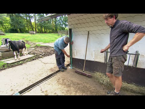 Neustart im Eifelzoo bei Prüm | SWR | Landesschau Rheinland-Pfalz