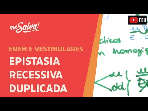 Me Salva! GEN26 - Genética - Epistasia Recessiva duplicada