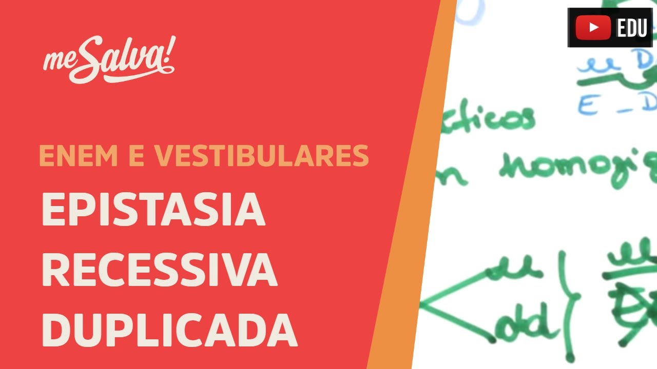 Me Salva! GEN26 - Genética - Epistasia Recessiva duplicada