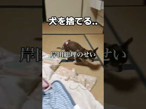 Nuvola アプリの日付.svg