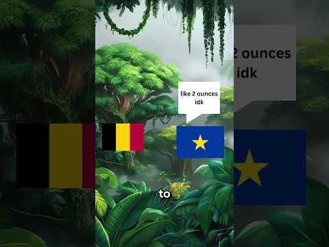 Why did Belgium Own The Congo?